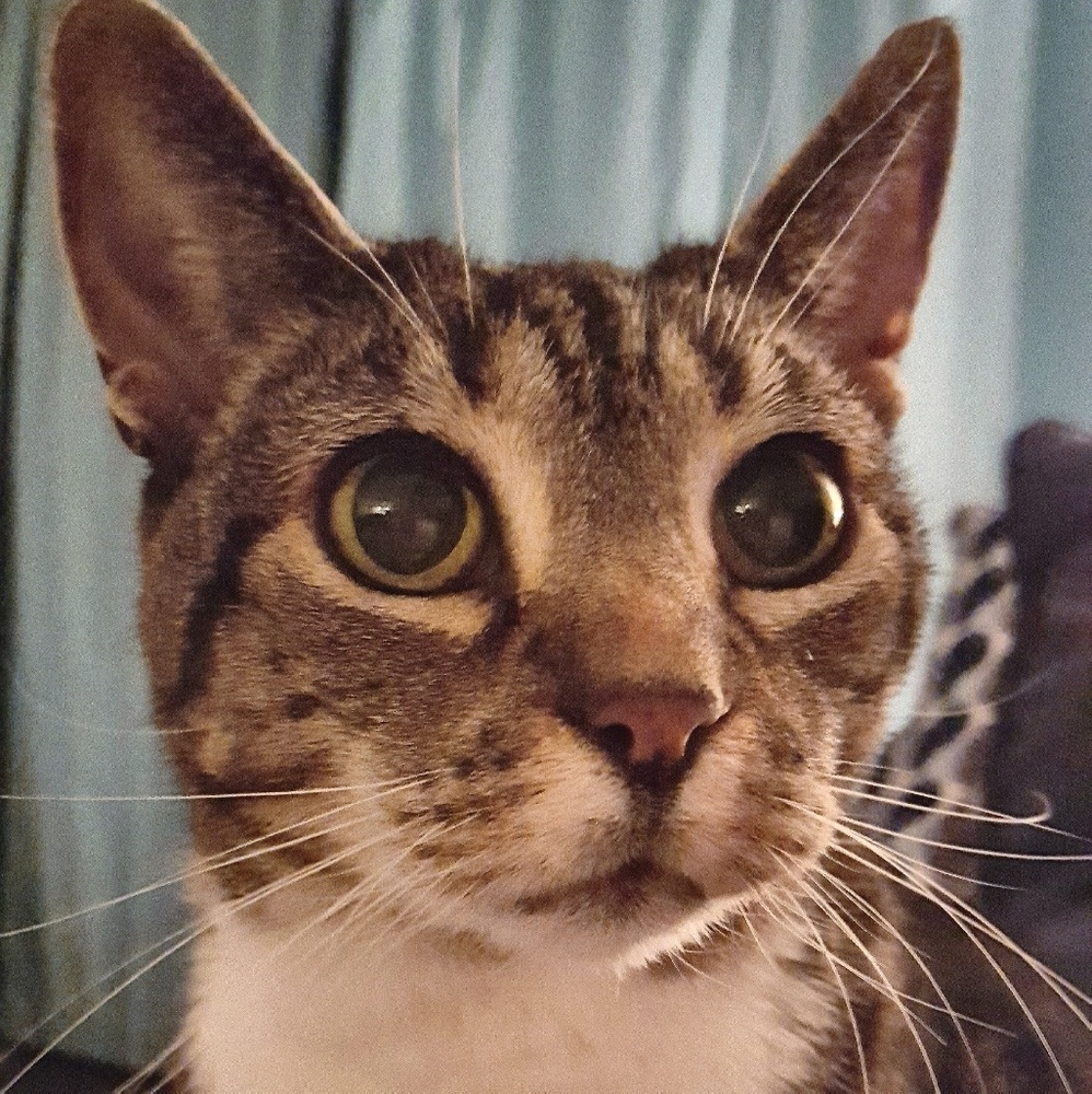 Meet your Posher, Brandi